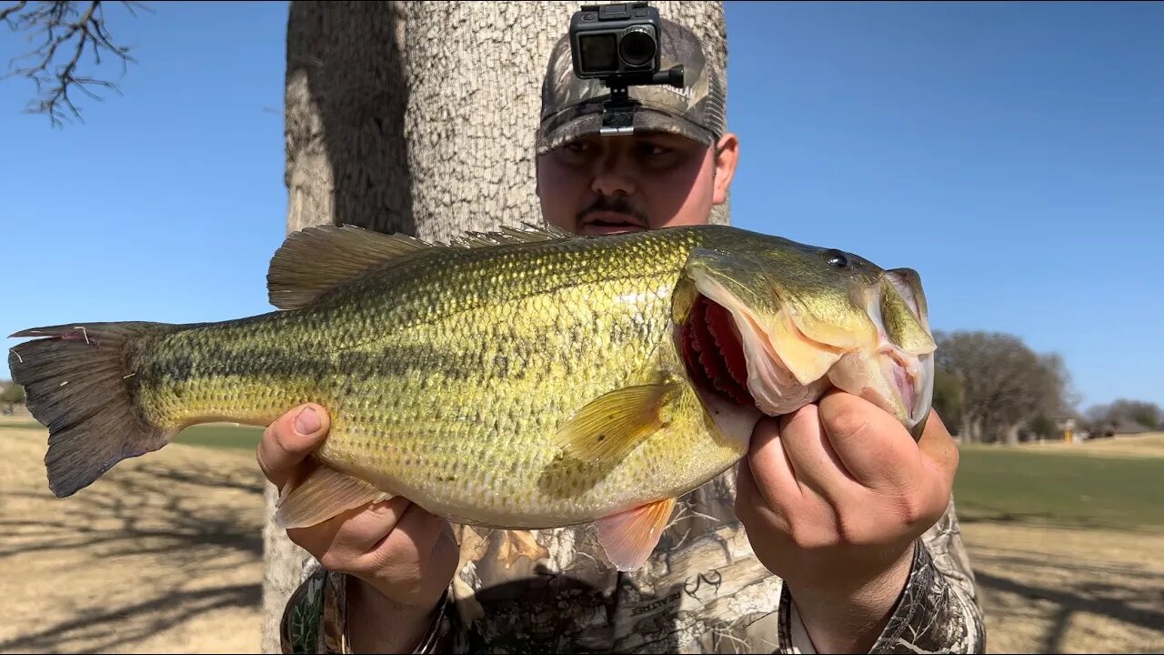 Catching GIANT Chemical Bass