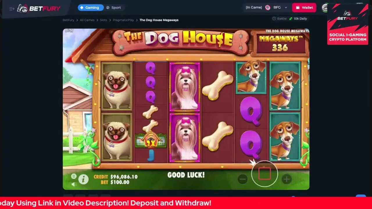 Betfury The Dog House Megaways Slots Game! Play To Win!