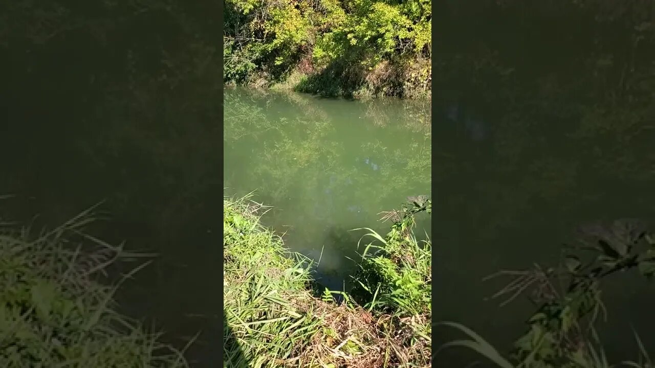 colorful good looking river.