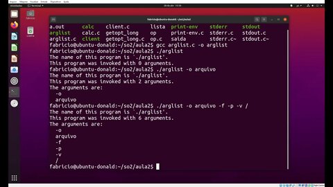 arglist.c - Uso de argc e argv no Linux