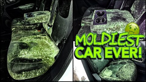 Deep Cleaning The MOLDIEST BIOHAZARD Jeep EVER! | Can This DISASTER Be Saved?!