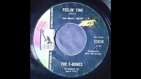 The T-Bones - Feelin' Fine