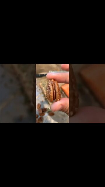 Low Carb Keto Recipes For Beginners | Best Diet to Lose Weight Fast | Keto Meal Plan #shorts