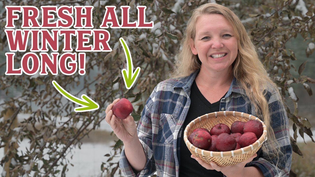 She keeps apples fresh all winter long using this simple method!