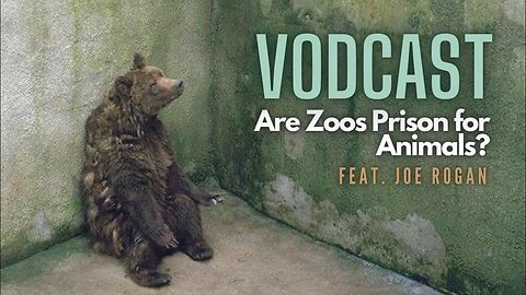 VODCAST | The Sad Truth about Zoos. Feat. Joe Rogan