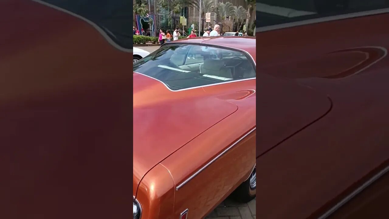 Carro ideal para baliza ,Riviera