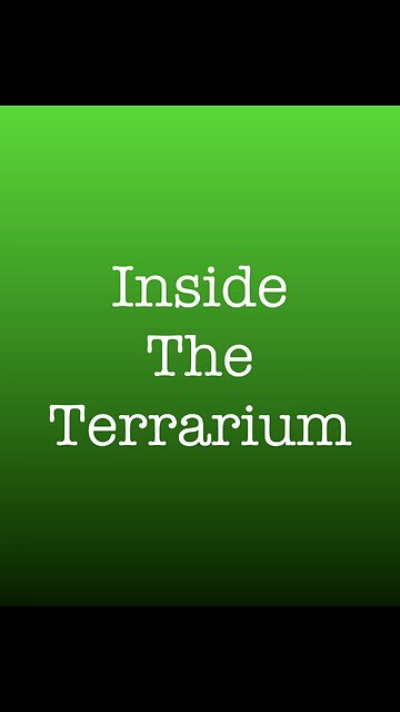 Inside the Terrarium