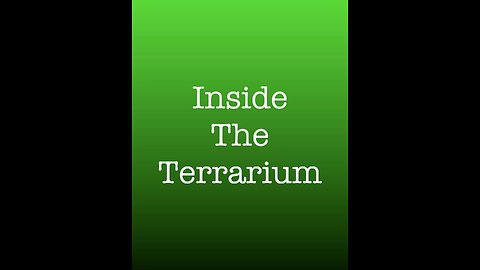 Inside the Terrarium