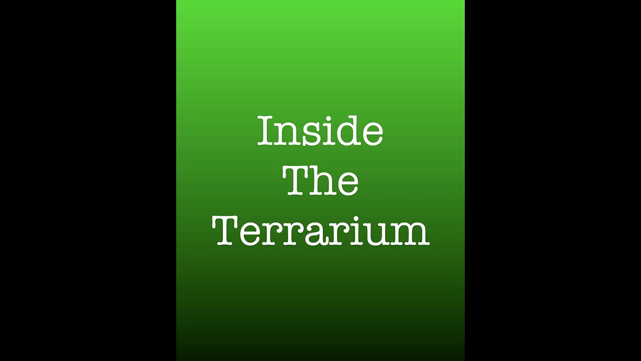 Inside the Terrarium