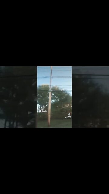 Treeees even more Treeees by @ryanjr8343