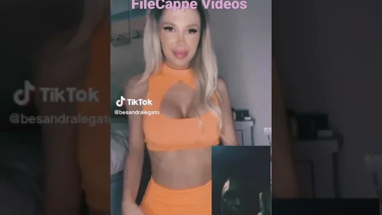 orange cuties are fruits