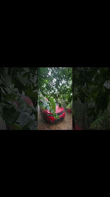 Storm & Blackout update