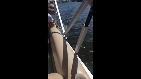 Pair of Dolphins loving our wake