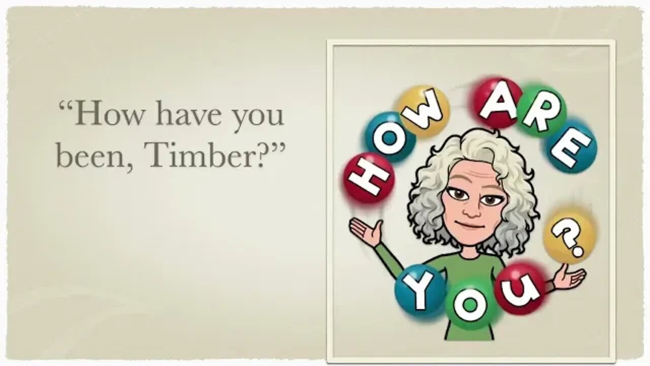 A PineCone And Timber Christmas! 2021 🎄