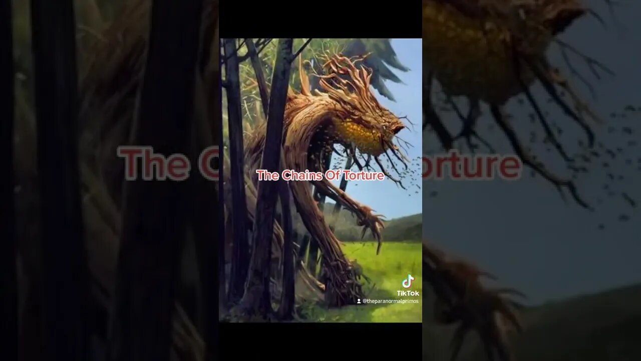 The Chains of Torture
