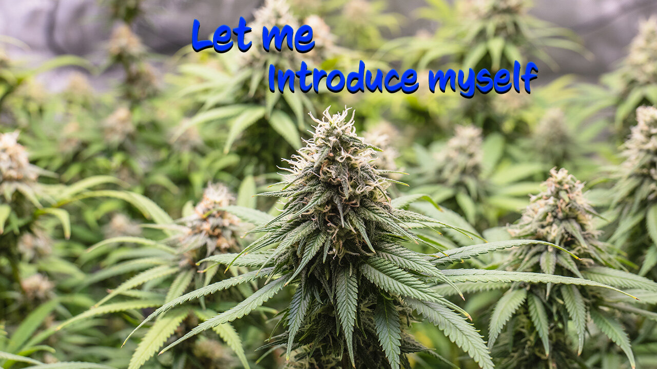 Let me introduce myself