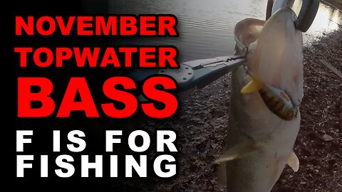 November Topwater Bass