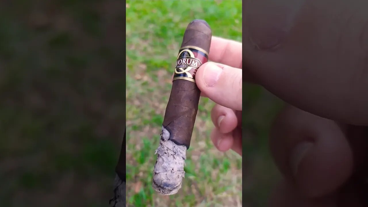 Degustando um J.C. Newman / Quorum - Maduro.