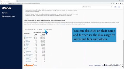 How to check disk usage of directory and bandwidth usage with FelizHosting