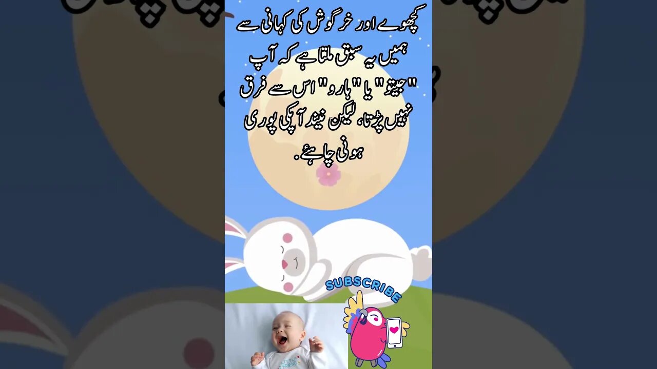 moral of rabbit and turtle story | funny interesting facts quotes joke shorts Urdu viral