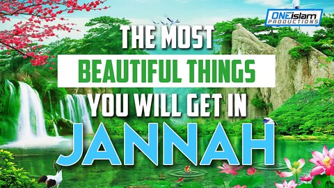 The Most Beautiful Things You Will Get In Jannah!