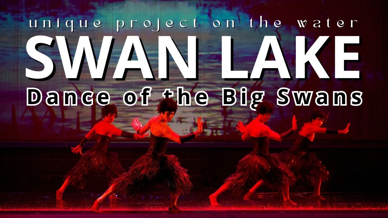 THE DANCE OF THE BIG SWANS ON THE WATER, WHICH YOU DEFINITELY HAVEN’T SEEN!