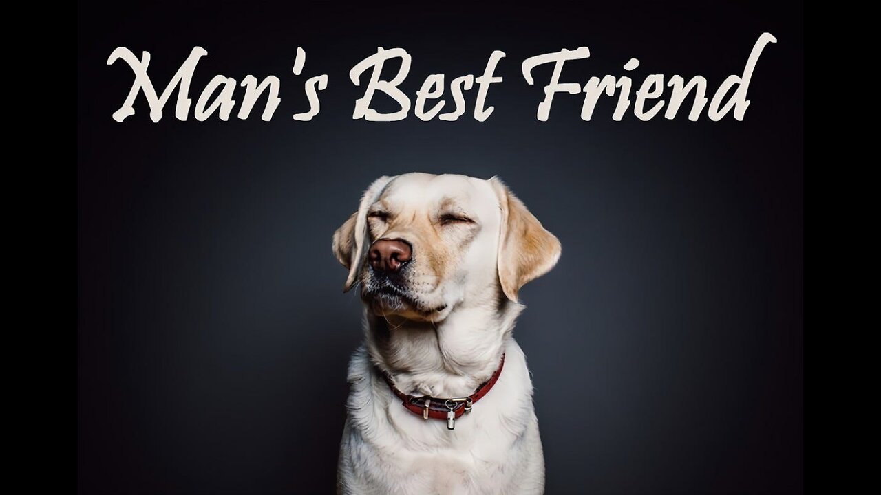 A Dog is Man's Best Friend