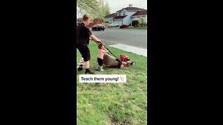 Toddler mowing the yard