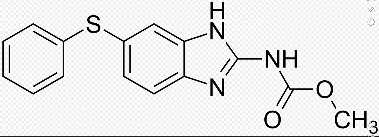 Wykład Dr. Pokrywki o FENBENDAZOLU