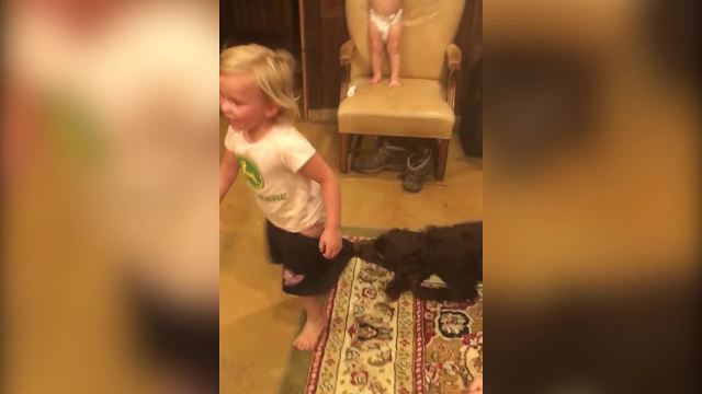 Puppy Dog Pulls Off A Toddler’s Pants