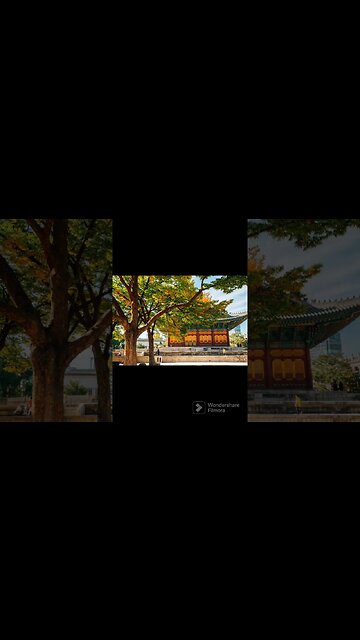 3 reasons to visit South Korea:Оңтүстік Кореяға аттануға 3 себеп:3 причины поехать в Южную 🇰🇷 сейчас