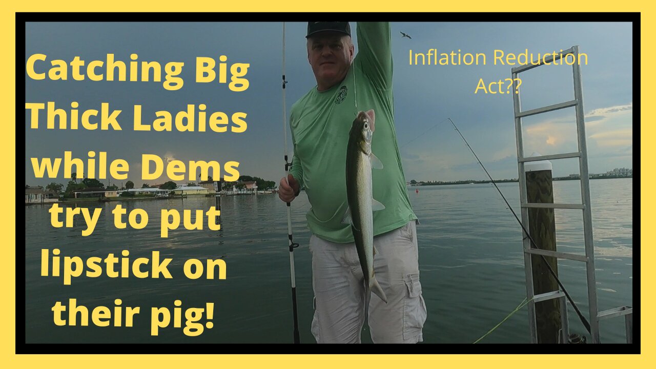 Catching big thick ladyfish while Dems try to put lipstick on their pig (Inflation Reduction Act)