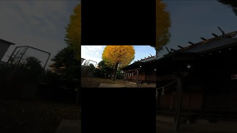 Ome Kaido Inari Shrine that retains the name of the pioneer ronin Takeshita Inari Shrine #shorts