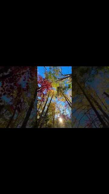 Fall Vibes in Canada 🇨🇦