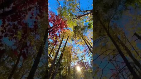 Fall Vibes in Canada 🇨🇦