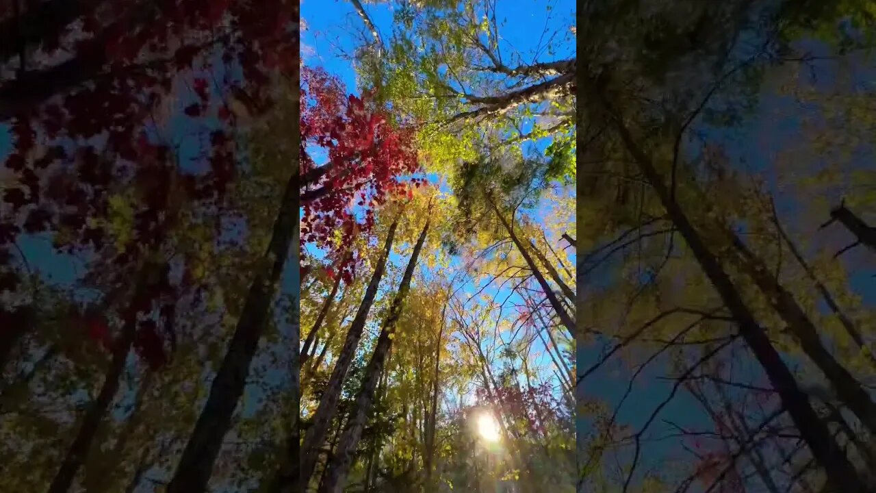 Fall Vibes in Canada 🇨🇦