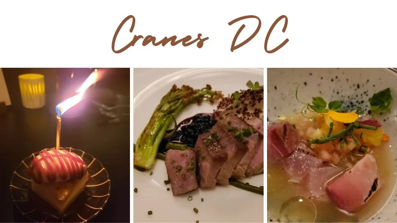 My first Michelin Star Restaurant! Cranes DC