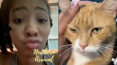 Waka & Tammy's Daughter Charlie Considers Taking Her Auntie's Cats Home To Atlanta! 😻