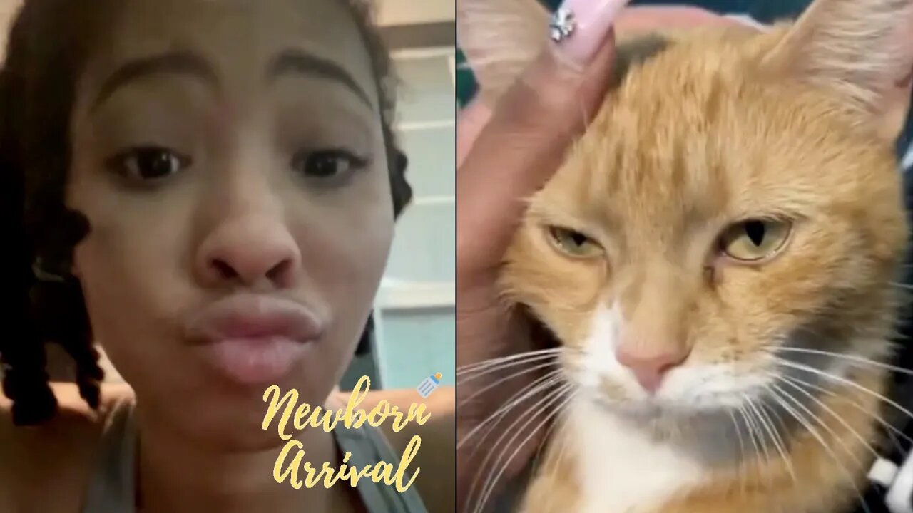 Waka & Tammy's Daughter Charlie Considers Taking Her Auntie's Cats Home To Atlanta! 😻