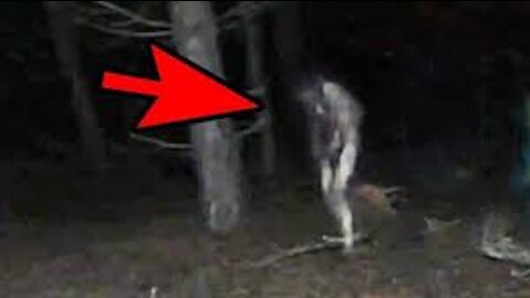 5 MOST MYSTERIOUS CREATURES CAUGHT ON CAM!
