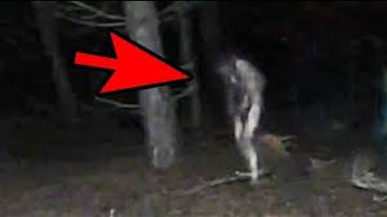 5 MOST MYSTERIOUS CREATURES CAUGHT ON CAM!
