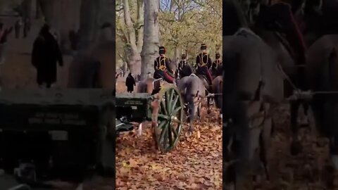 Kings guard horse dodges foot soldier #buckinghampalace