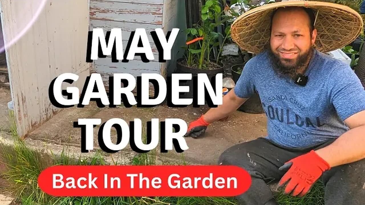 May Garden Tour/Allotment Tour - Permaculture Garden