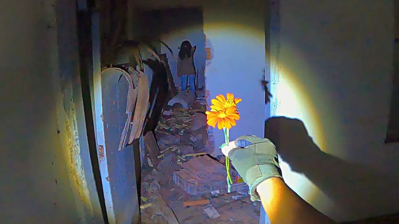 A CRIANÇA ACEITOU A FLOR EM FORMA DE AMIZADE - FOI EMOCIONANTE