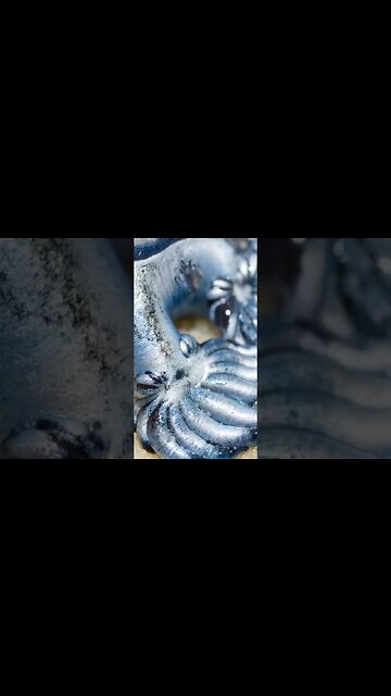 Blue Sea Dragon: Discover the Enchanting Beauty of the Glaucus Atlanticus