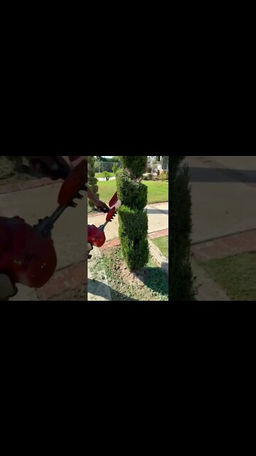 Most Amazing and trending video||relaxing your mind||trendig videos|| #shorts #trending #viral #live