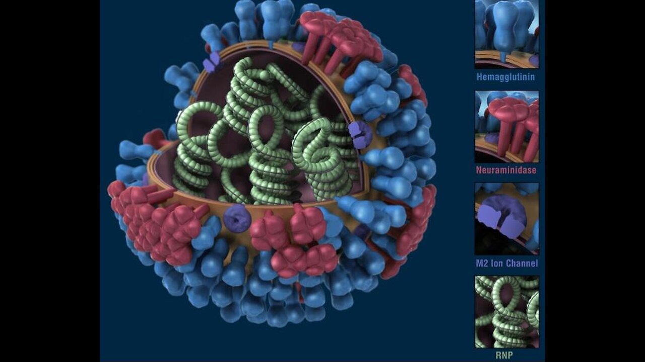 Knowledge💣💣 H1N1~ZOONOSIS~COVPRICK