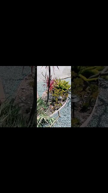 Old machete would take an arm off! Easy! That a tree branch! Easy! #knife