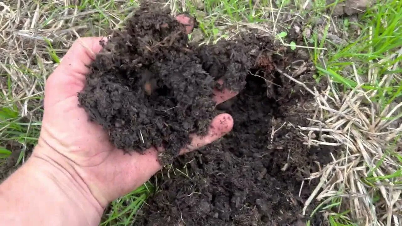 Regenerative Agriculture: How We Improve Soil Quickly without Costly Equipment