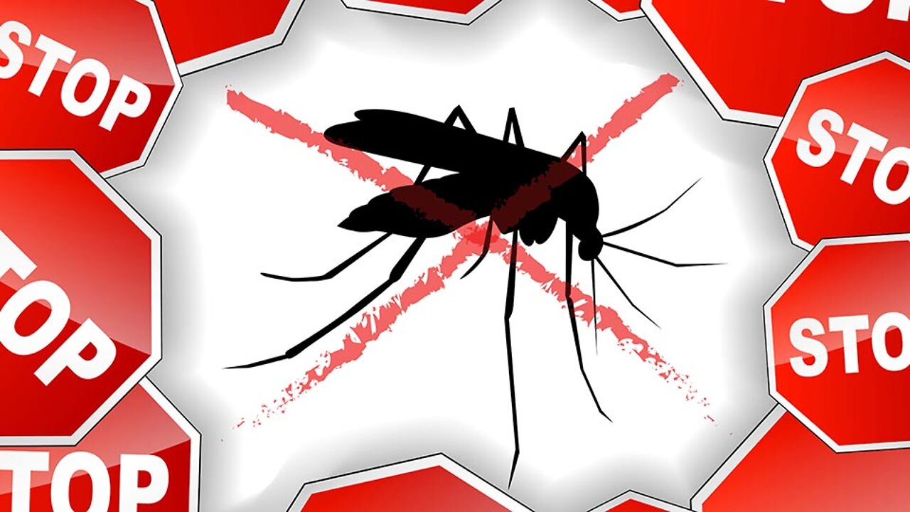 OMG, JUST KILL US ALREADY!!!